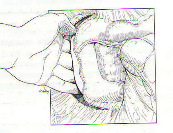 Top Knife: The Art and Craft of Trauma Surgery Review